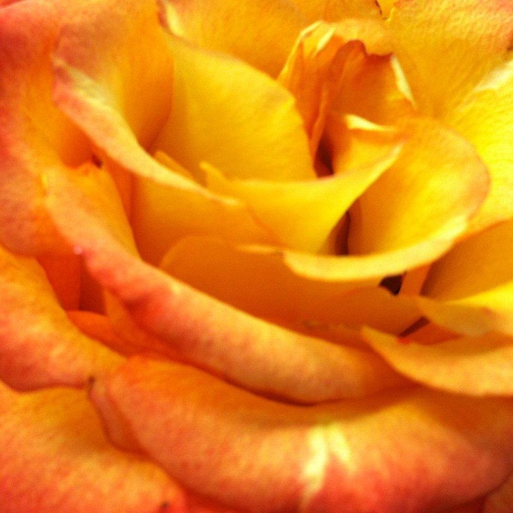 Meet your Posher, Keke